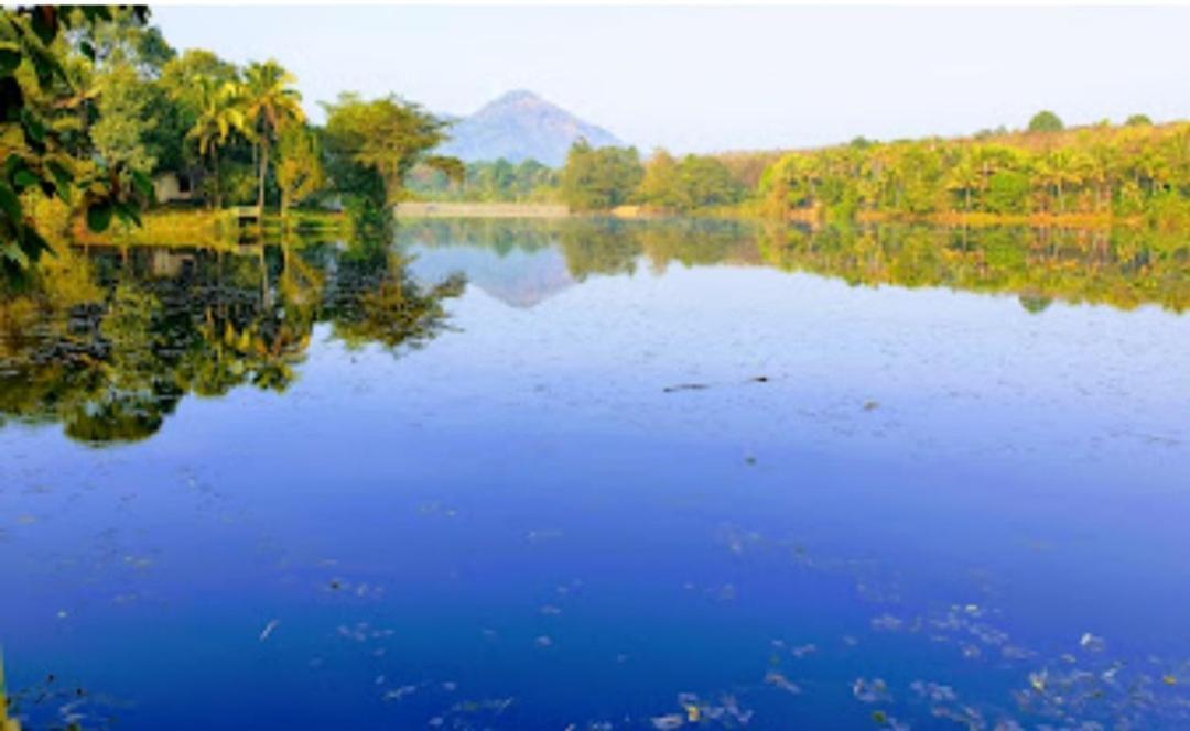 Sparrow Vale Resort Kotamangalam Экстерьер фото
